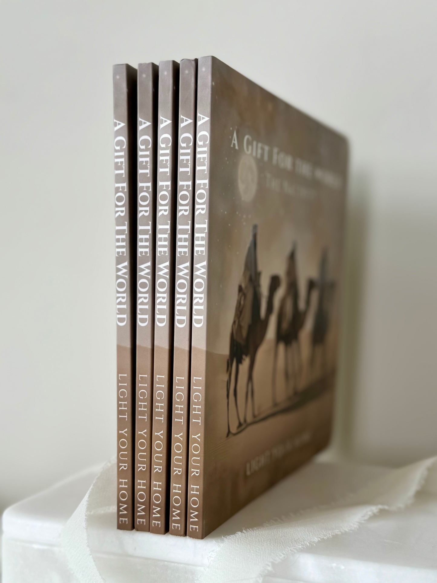 The Nativity Board Book