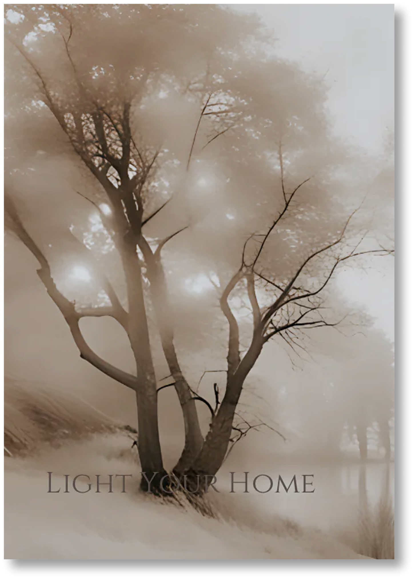 Morgentau - Druck
