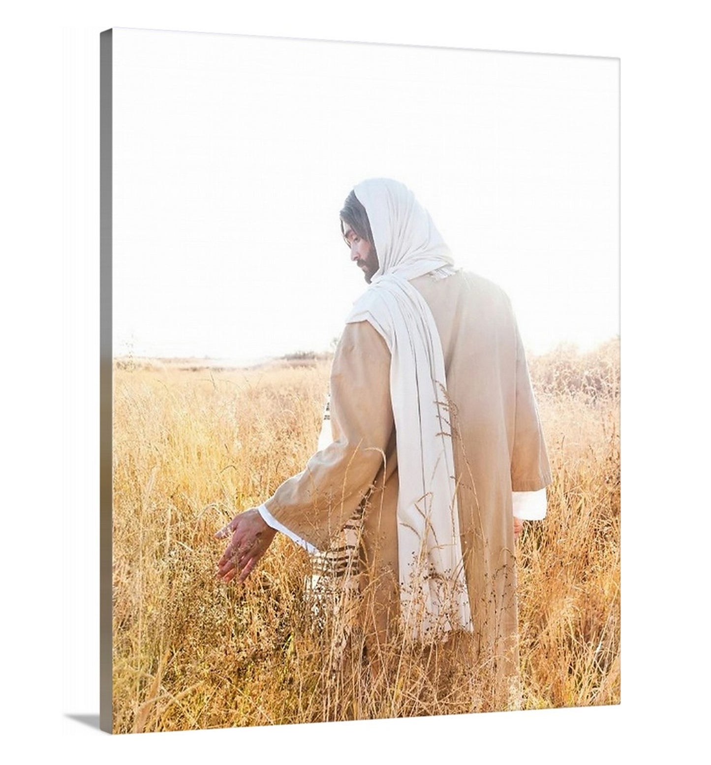 Already to Harvest - Canvas