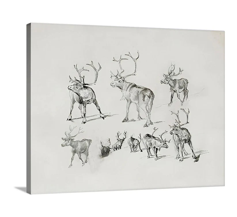 Reindeer - Canvas