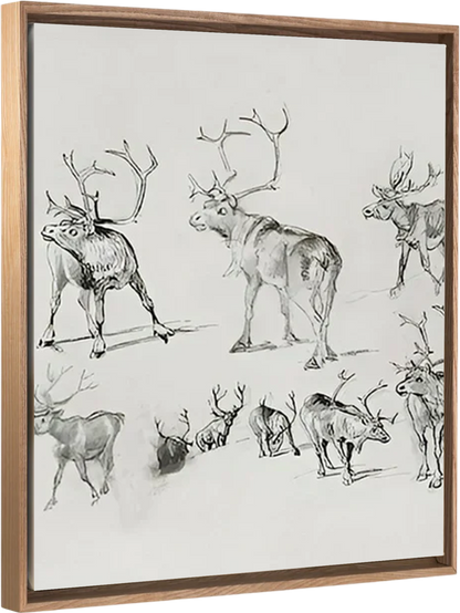 Reindeer - Canvas