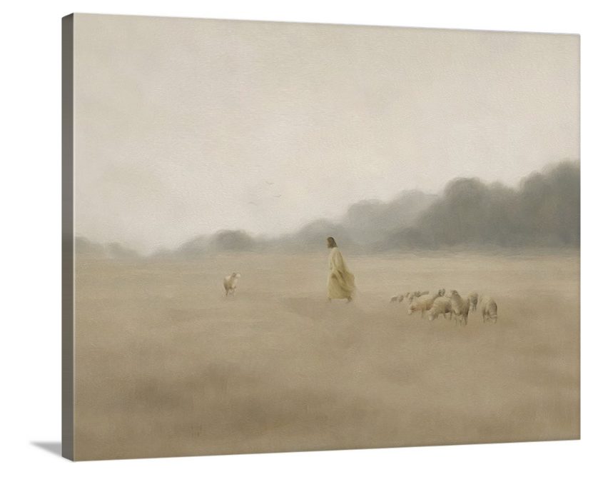 His Fold - Canvas