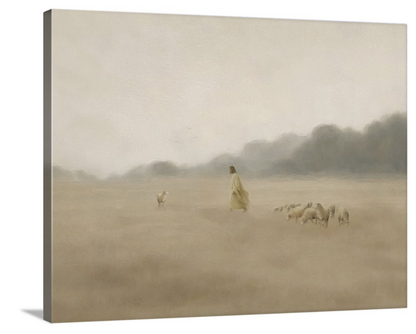 His Fold - Canvas