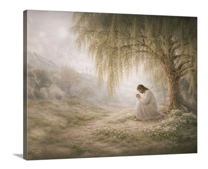 Garden of Gethsemane - Horizontal Canvas