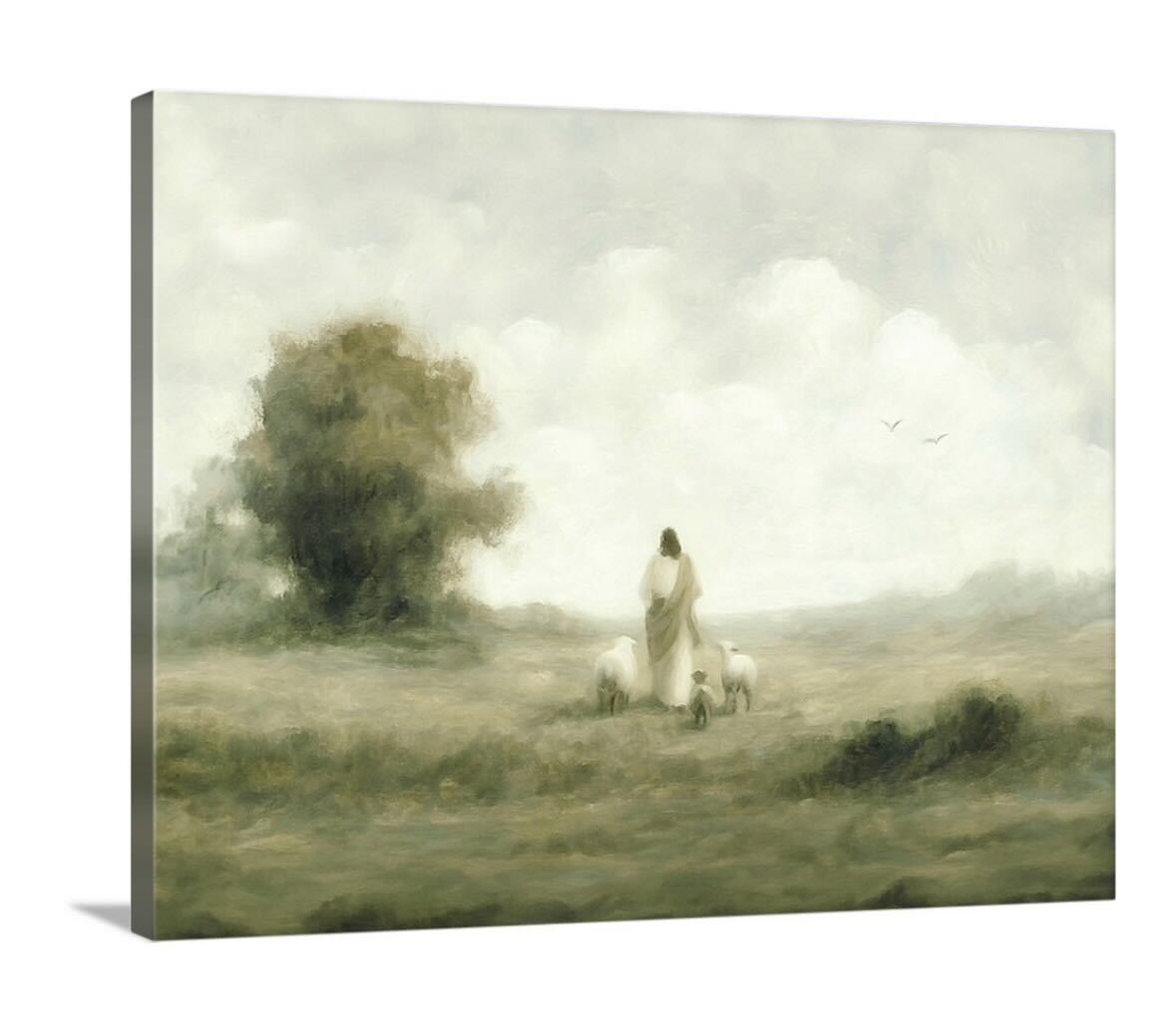 Guided - Canvas