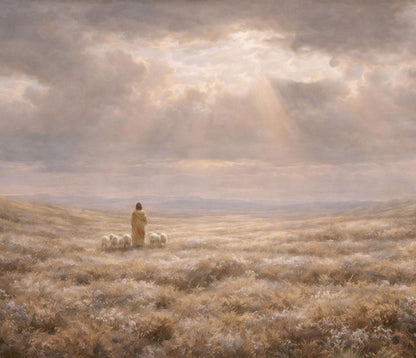 framed_canvas_image_horizontal